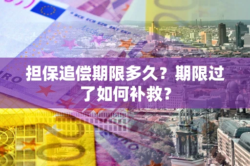 济南担保追偿期限多久？期限过了如何补救？