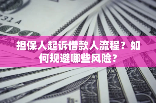 济南担保人起诉借款人流程？如何规避哪些风险？